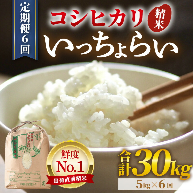 楽天市場】【ふるさと納税】【先行予約】【令和8年産・新米】【一等米