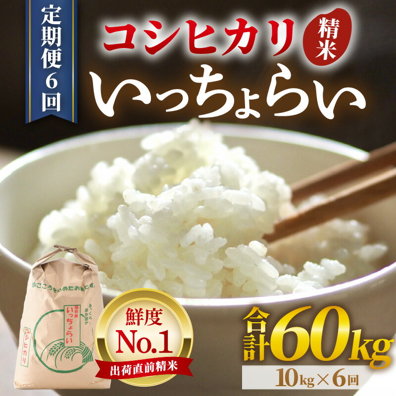 【ふるさと納税】【先行予約】【令和8年産】【一等米】《定期便6回》いっちょらい 精米 10kg &times; 6回（計60kg） ／ 福井県産 ブランド米 コシヒカリ ご飯 白米 新鮮 大賞 受賞 新米 福井県あわら産 ※2026年10月上旬以降順次発送予定｜福井県あわら市