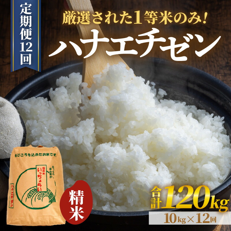 【ふるさと納税】米 定期便【先行予約】【令和8年産・新米】【一等米】＜定期便12回＞ ハナエチゼン 精米 10kg × 12回（120kg）《発送直前精米！》 / 10キロ 定期便 福井県 あわら 北陸 米 お米 人気 大賞 受賞 新米 華越前 ※2026年9月上旬以降順次発送予定