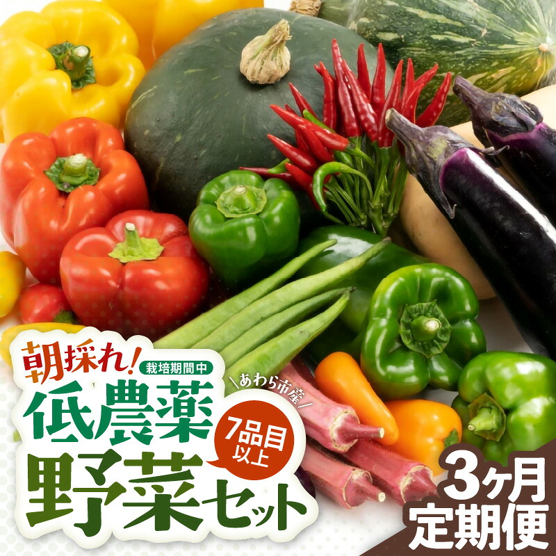 【ふるさと納税】【3ヶ月連続お届け】農家直送 旬の野菜セット 7品目以上 1箱 ／ 定期便 3回 季節 野菜 ボックス BOX セット セレクト 農家 おまかせ 多品目 旬 詰め合わせ 根菜 葉物｜福井県あわら市