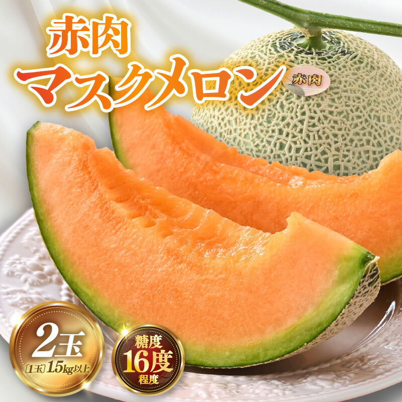 【ふるさと納税】【先行予約】赤肉パリスメロン 秀品 2玉（1.5kg以上×2玉）【アールス系赤肉メロン】《糖度16度程度！1株1果採りで育てる高級メロン！》／ 果物 フルーツ 農家直送 赤肉 マスクメロン アールスメロン ギフト 贈答用 ※2025年7月上旬より順次発送予定