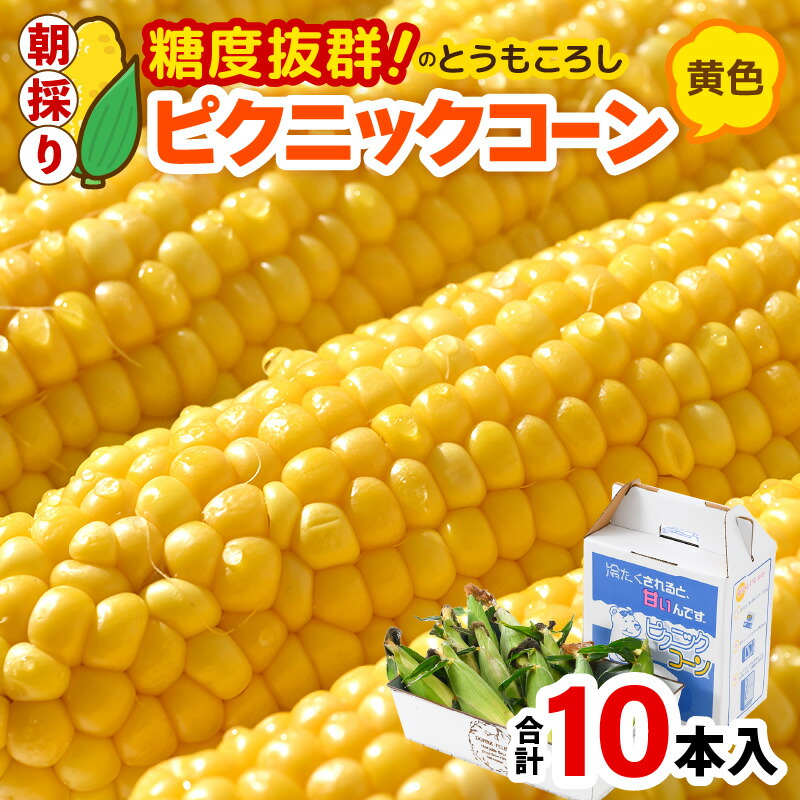 【ふるさと納税】【先行予約】朝採り ピクニックコーン 黄色 10本入《生でも食べれる！希少品》 ／ 野菜 とうもろこし スイートコーン 福井県 あわら市 ※2025年6月上旬以降順次発送