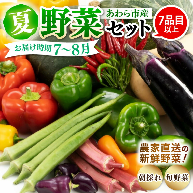 【ふるさと納税】【先行予約】農家直送 夏野菜セット 1箱 7品目以上 《元気に育った新鮮野菜！》／ 5000円 季節 夏 野菜 ボックス BOX セット セレクト 農家 おまかせ 多品目 旬 詰め合わせ ※2025年7月中旬以降発送