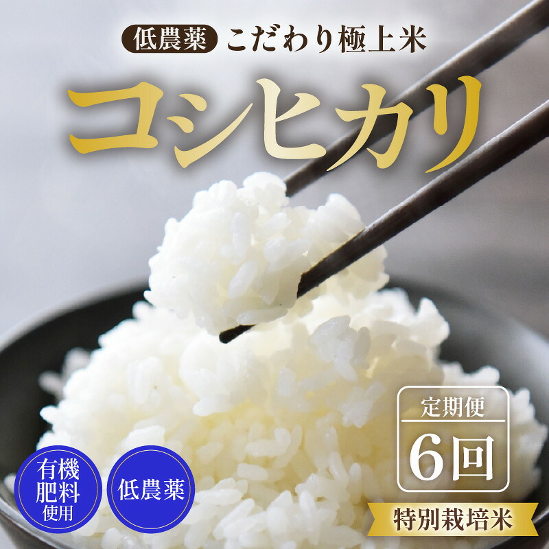 【ふるさと納税】【先行予約】【令和8年産 新米】《定期便》5kg×6回 30kg 特別栽培米 コシヒカリ 低農薬 《食味値85点以上!こだわり極上米》 / 福井県 あわら 北陸 米 お米 人気 高品質 鮮度抜群 新米 ※2026年9月中旬より順次発送|福井県あわら市