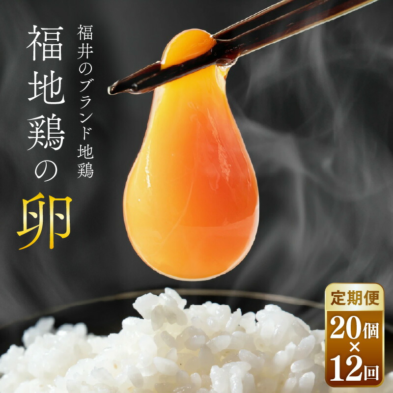 【ふるさと納税】【12ヶ月連続お届け】福井ブランド「福地鶏」の卵 20個　濃厚で甘くておいしい！ 定期便 ／ 卵 たまご 鶏卵 生卵 有精卵 高級 高級卵 福地鶏 鶏 平飼い 美味しい こだわり 12ヶ月 定期便 卵かけご飯 料理 値下げ あわら市 福井県産