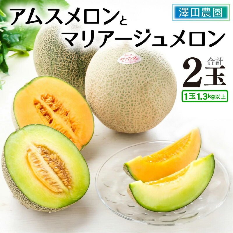 【ふるさと納税】【先行予約】アムス・マリアージュメロン 2種（1.3kg以上 2玉入）農園1番のおすすめ！ ／ 期間限定 数量限定 果物 フルーツ 青肉 赤肉 産地直送 ※2025年7月上旬より順次発送