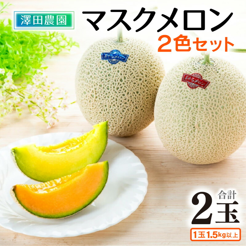 【ふるさと納税】【先行予約】マスクメロン 青肉/赤肉 2色セット（1.5kg以上 2玉入）食べ比べお楽しみ！アールスメロン ／ 期間限定 数量限定 果物 フルーツ 産地直送 ※2025年7月上旬より順次発送