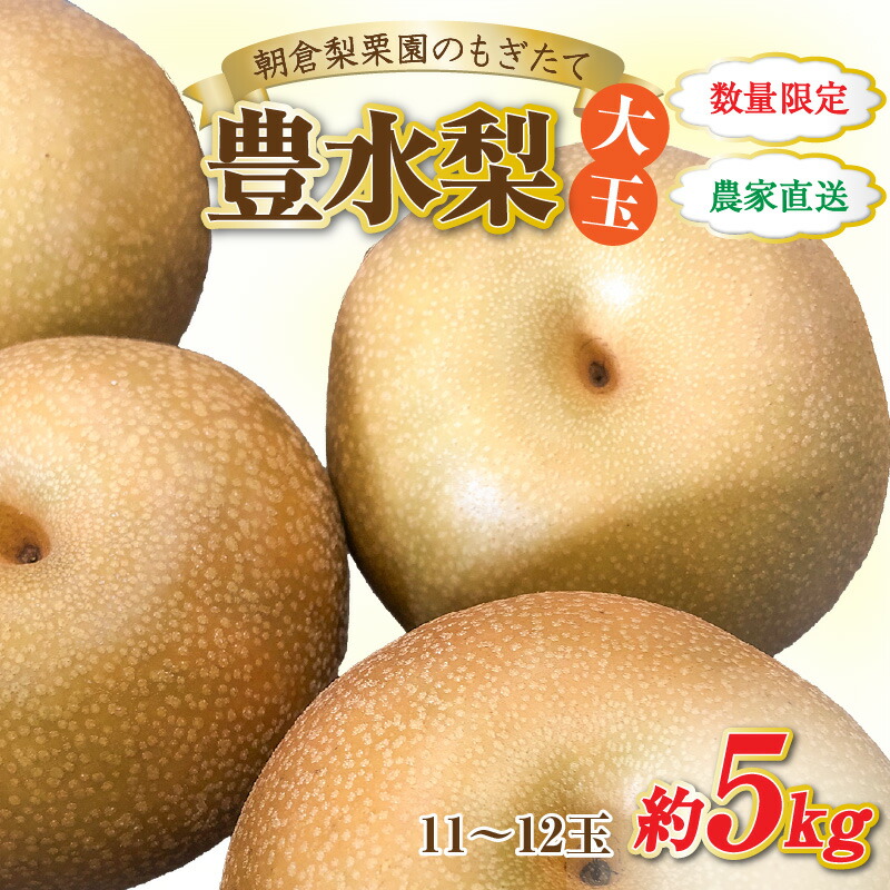 【ふるさと納税】【先行予約】《数量限定》豊水梨【大玉】11～12玉入 約5kg もぎたて 新鮮 ／ 期間限定 果物 フルーツ 農家直送 お取り寄せ 豊水 梨 なし 福井県 あわら市 ※2025年9月上旬より順次発送予定