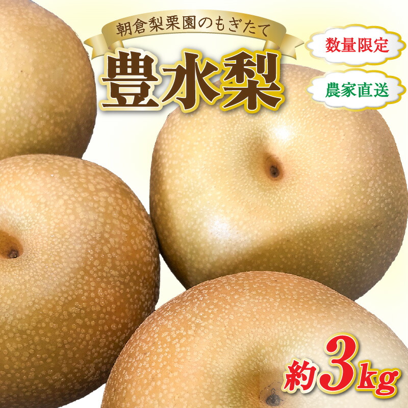 【ふるさと納税】【先行予約】《数量限定》豊水梨 7～8玉入 約3kg もぎたて 新鮮 ／ 期間限定 果物 フルーツ 農家直送 お取り寄せ 豊水 梨 なし 福井県 あわら市 あわら産 ※2025年9月上旬より順次発送予定