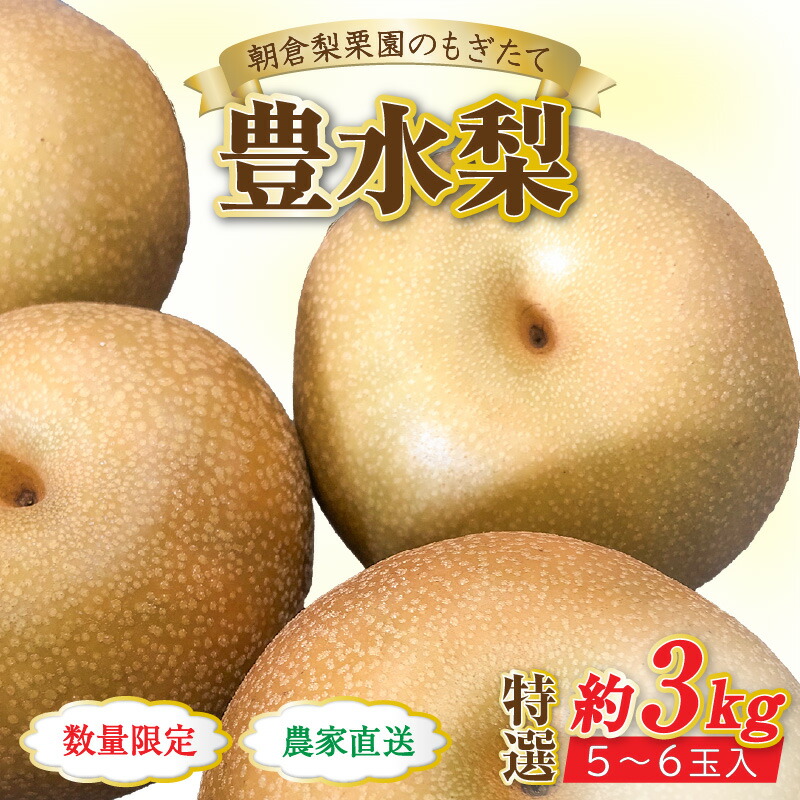 【ふるさと納税】【先行予約】《数量限定》豊水梨 特選 5～6玉入 約3kg もぎたて 新鮮 ／ 期間限定 果物 フルーツ 農家直送 お取り寄せ 豊水 梨 なし 福井県 あわら市 ※2025年9月上旬より順次発送予定