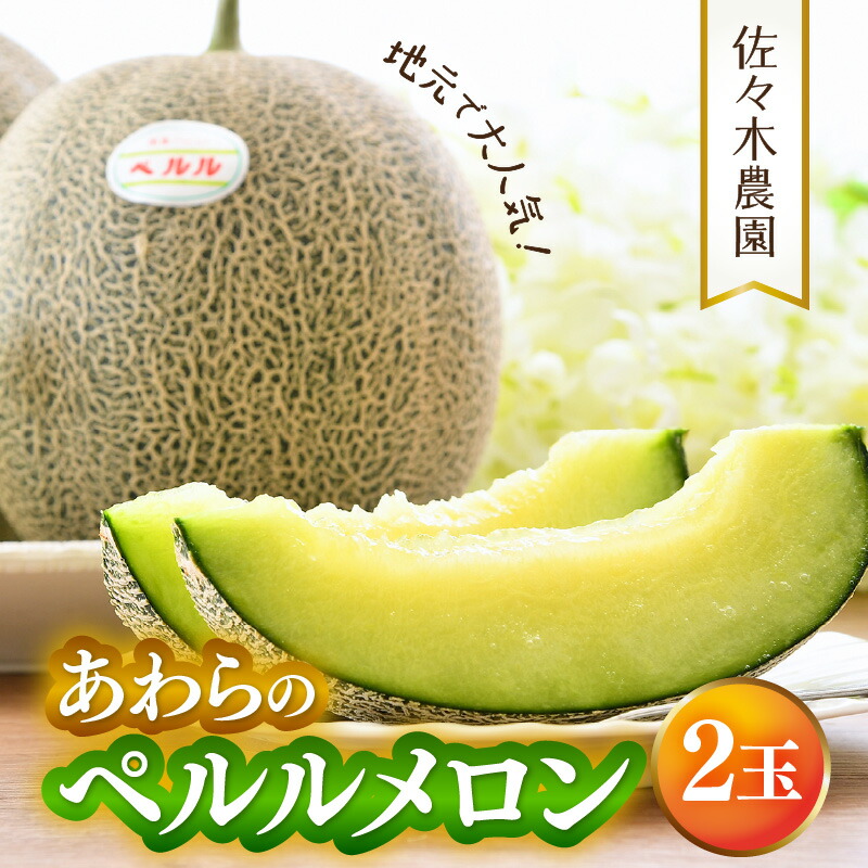 【ふるさと納税】【先行予約】ペルルメロン 3L 2玉入（1.7kg以上×2玉）糖度16度以上！／ 1株1果 大玉 青肉 メロン 果物 フルーツ ギフト 農家直送 ※2025年6月下旬より順次発送