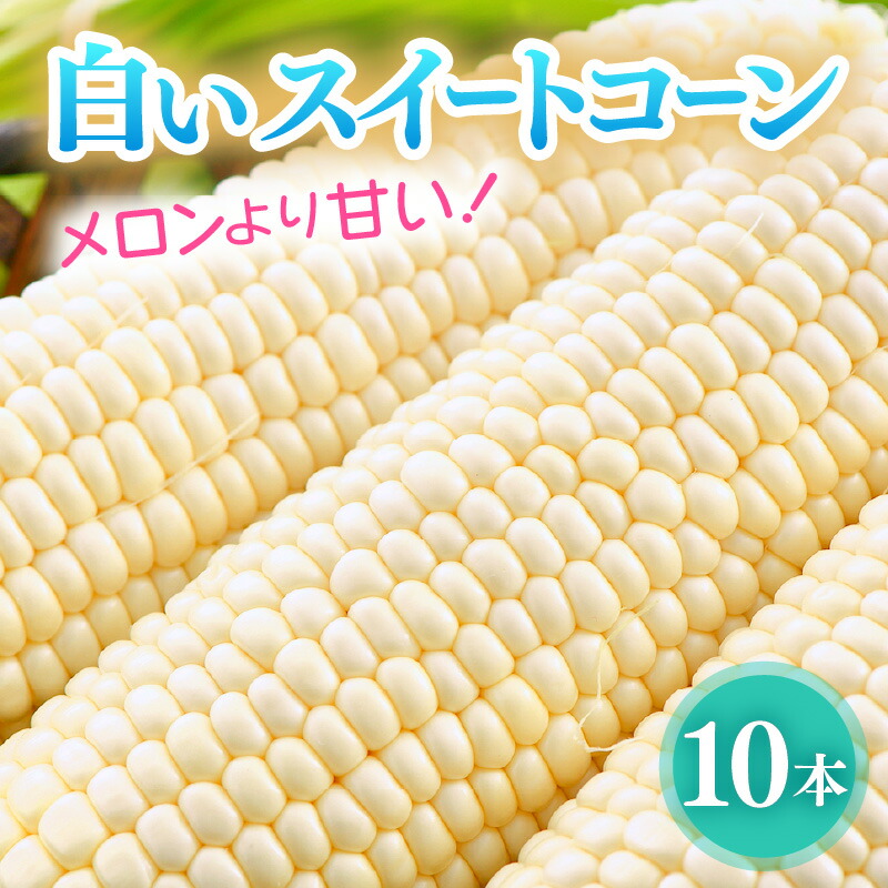 【ふるさと納税】【先行予約】朝採り 白とうもろこし 10本入《外皮ごとレンジでチン！メロンより甘い！》／ 野菜 スイートコーン 白 ホワイトコーン ホワイト とうもろこし バーベキュー 夏 ※2025年6月中旬より順次発送