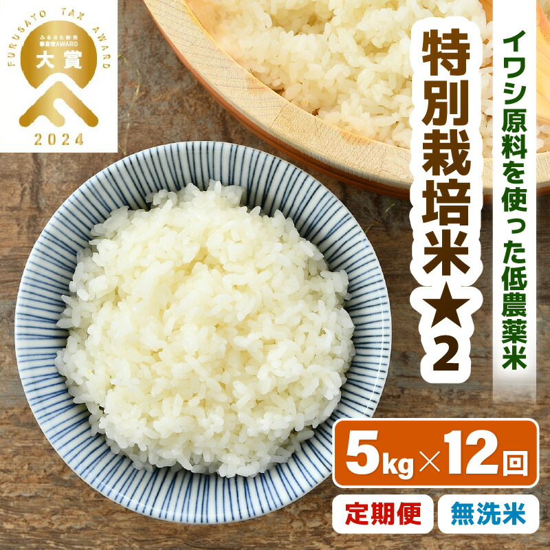 【ふるさと納税】【先行予約】【令和8年産】 《定期便12回》特別栽培米 コシヒカリ 5kg &times; 12回 （計60kg） 無洗米 低農薬 / 北陸 福井県産 あわら市 ブランド米 白米 お米 コメ 特栽米 ※2026年10月上旬以降順次発送予定｜福井県あわら市