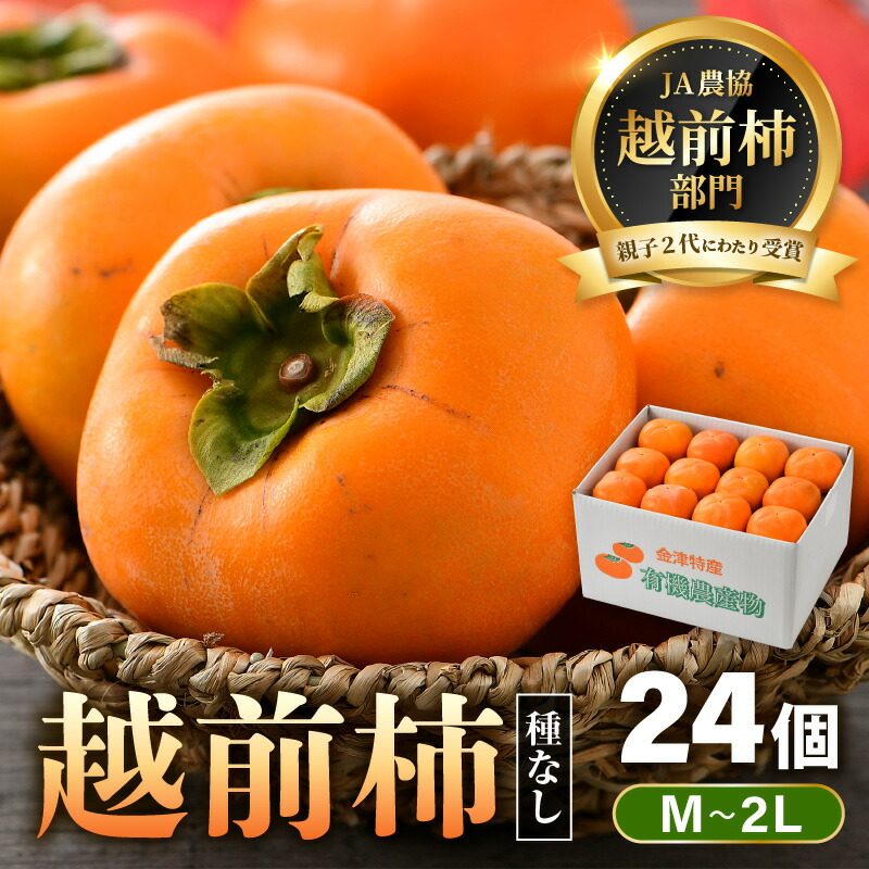 【ふるさと納税】【先行予約】 越前柿 24個入 約4kg（M～2L）≪JA受賞歴親子２代≫ ／ 果物 フルーツ 柿 産地直送 期間限定 ※2025年11月上旬より順次発送