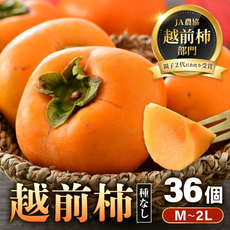 【ふるさと納税】【先行予約】越前柿 36個入 約6kg（M～2L）≪JA受賞歴親子２代≫  ／ 果物 フルーツ 柿 産地直送 期間限定 ※2025年11月上旬より順次発送