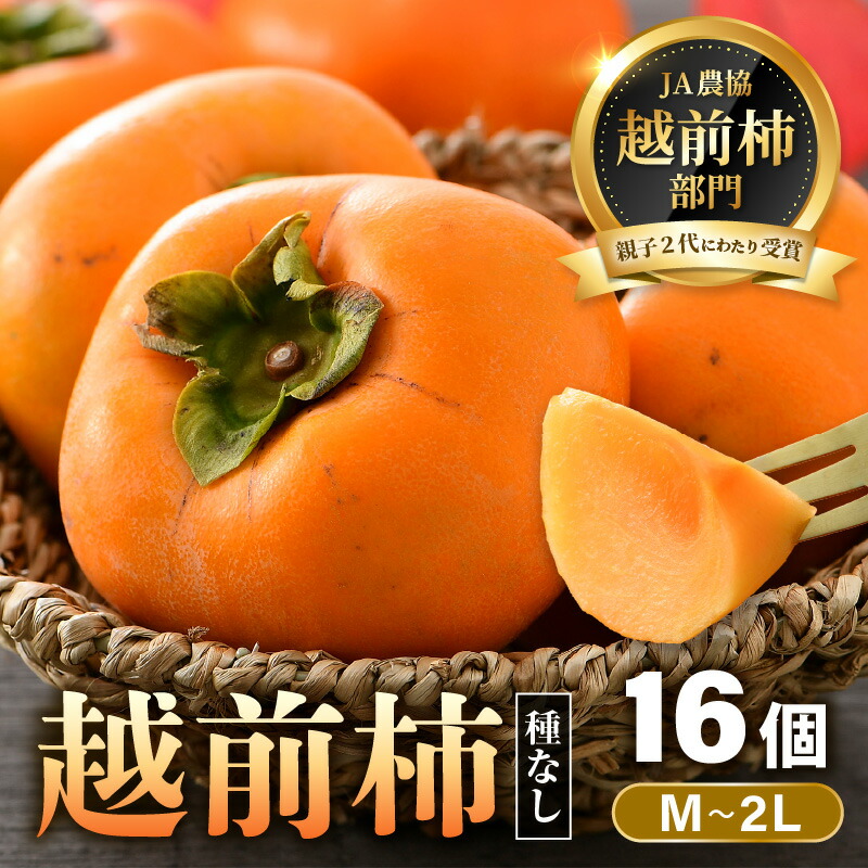 【ふるさと納税】【先行予約】越前柿 16個入 約2.5kg（M～2L）≪JA受賞歴親子２代≫ ／ 果物 フルーツ 柿 産地直送 期間限定 ※2025年11月上旬より順次発送