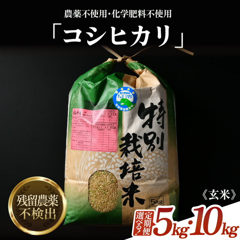 自家栽培 ぴかまる 玄米20kg 【公式通販】