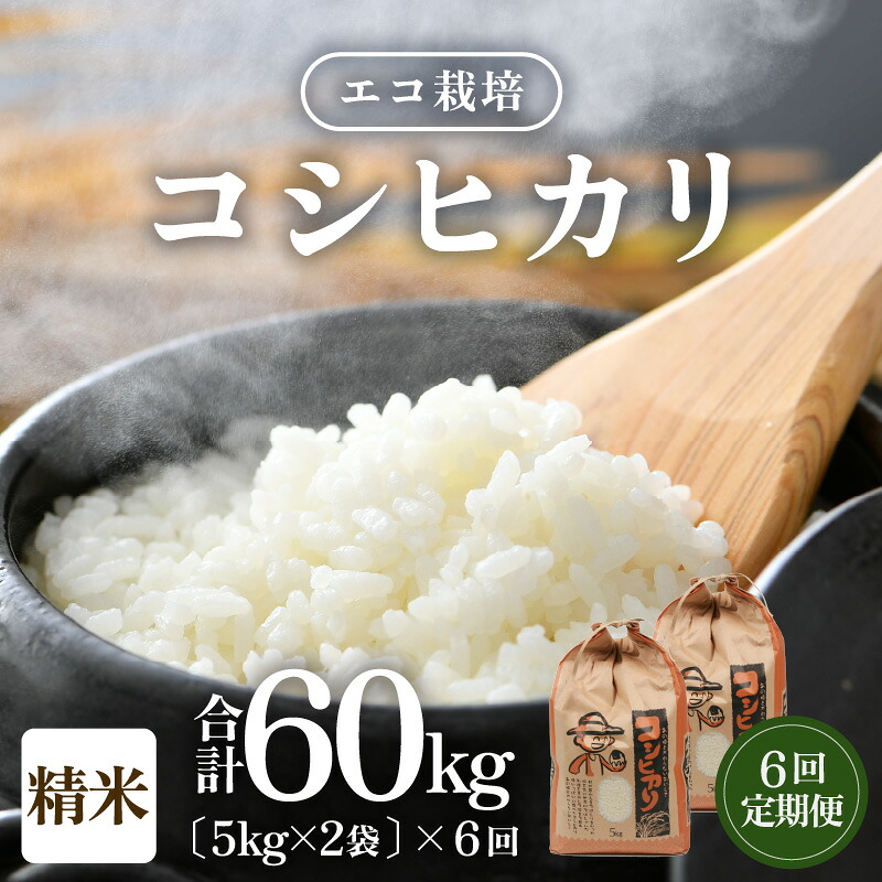 【ふるさと納税】【先行予約】【令和8年産 新米】《定期便6回》エコ栽培コシヒカリ 白米10kg（5kg×2袋）計60kg ／ 米 お米 定期便 10キロ 鮮度抜群 福井県産 こしひかり ご飯 新鮮 白米 ※2026年10月上旬以降順次発送