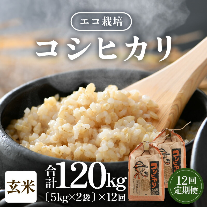 楽天市場】【ふるさと納税】【先行予約】【令和8年産 新米】エコ栽培 