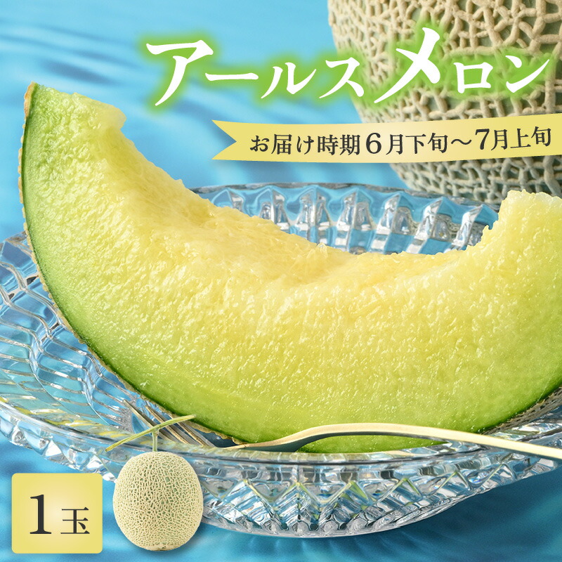 【ふるさと納税】【先行予約】【青肉】アールスメロン 1玉（約1.6kg以上）青肉品種 高級メロン！ ／ マスクメロン 大玉 果物 フルーツ 夏 ギフト 農家直送 ※2025年6月下旬以降順次発送予定