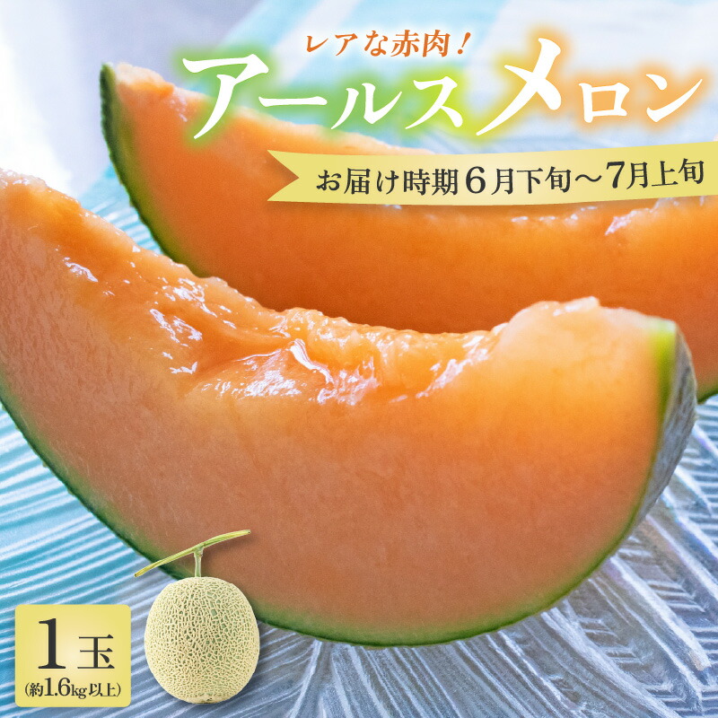 【ふるさと納税】【先行予約】アールスメロン 1玉（約1.6kg以上）赤肉品種 高級メロン！ ／ マスクメロン 大玉 果物 フルーツ 夏 ギフト 農家直送 ※2025年6月下旬以降順次発送予定