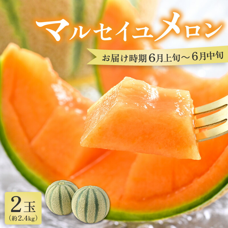 【ふるさと納税】【先行予約】マルセイユメロン 2玉 約2.4kg（約1.2kg以上×2玉）大人気の赤肉品種！高級メロンの味わい ／ 果物 フルーツ ギフト 農家直送 ※2025年6月上旬以降順次発送