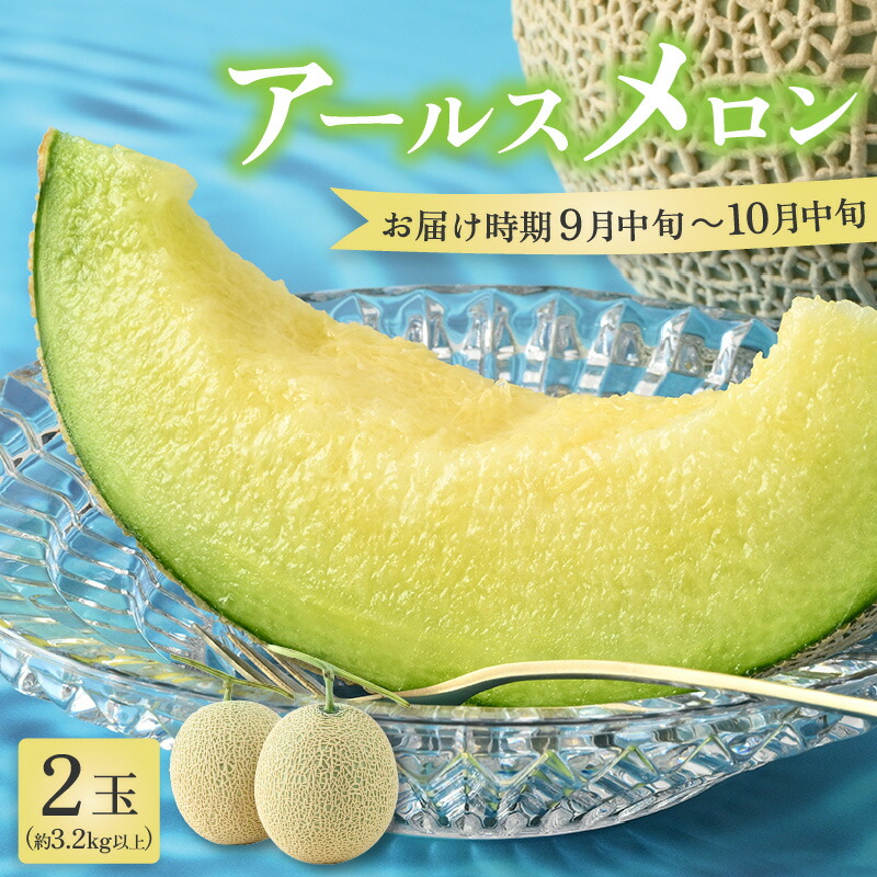 【ふるさと納税】【先行予約】秋 アールスメロン 2玉（約1.6kg以上×2玉）青肉品種 高級メロン！ ／ マスクメロン 大玉 果物 フルーツ ギフト 農家直送 ※2025年9月中旬以降発送