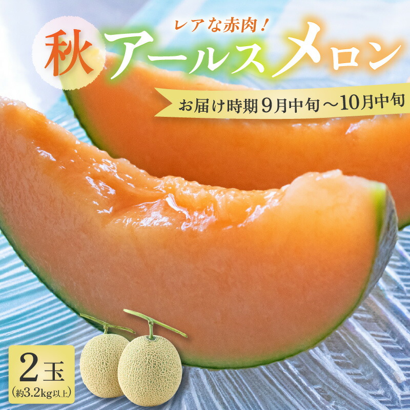 【ふるさと納税】【先行予約】【赤肉】秋 アールスメロン 2玉（計約3.2kg以上）赤肉品種 高級メロン！ ／ マスクメロン 大玉 果物 フルーツ 夏 ギフト 農家直送  ※2025年9月中旬以降発送