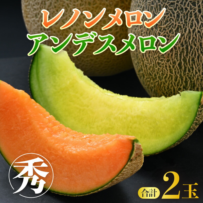 【ふるさと納税】【先行予約】佐藤農園の赤肉と青肉食べ比べ計2玉（レノンメロン・アンデスメロン）農家直送 秀品 お届け！ / フルーツ くだもの 特産 旬 夏 果物 完熟  メロン 朝どれ 美味しい お取り寄せ 贈答 ※2025年6月中旬より順次発送