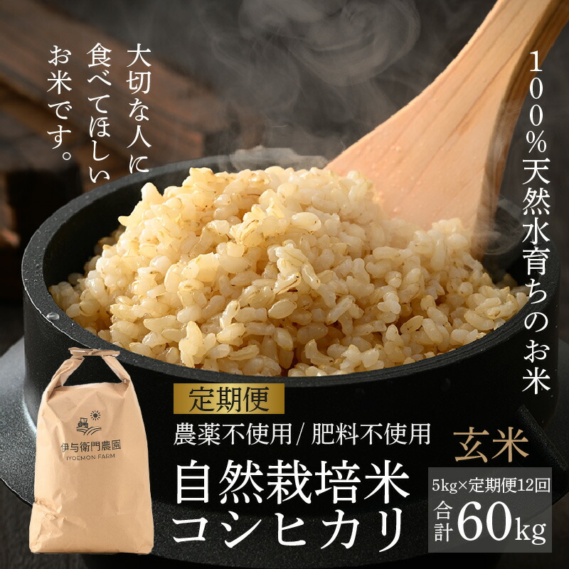 【ふるさと納税】【先行予約】【令和7年産 新米】【定期便12回】伊与衛門農園の自然栽培コシヒカリ玄米 5kg×12回  伊与衛門農園の特別栽培米 ＜温度と湿度を常時管理し新鮮米を出荷＞ / 米 高品質 鮮度抜群 ブランド米 福井県 あわら市産 白米 ※2025年10月中旬より順次発送