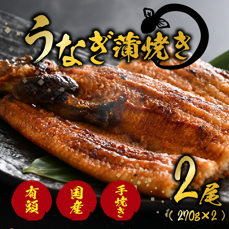 【ふるさと納税】国産 活うなぎ蒲焼 有頭 約270gを2尾（計540g）2～4人前《ご寄付後、発送直前に1つ1つ手焼き！》【年内発送受付12月15日まで】／ 高級 特大 鰻 ウナギ 蒲焼き 老舗魚屋 タレ レンジ 温めるだけ 簡単 土用の丑 うな重 うな丼 自家製タレ付き