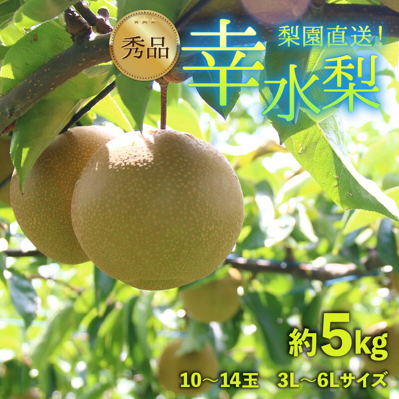 【ふるさと納税】【先行予約】上野梨園の幸水梨 10～14玉入 約5kg  3L～6L【秀品】《数量限定》梨園直送！ / 期間限定 果物 フルーツ 農家直送 シャキシャキ もぎたて 旬 お取り寄せ ※2025年8月下旬より順次発送