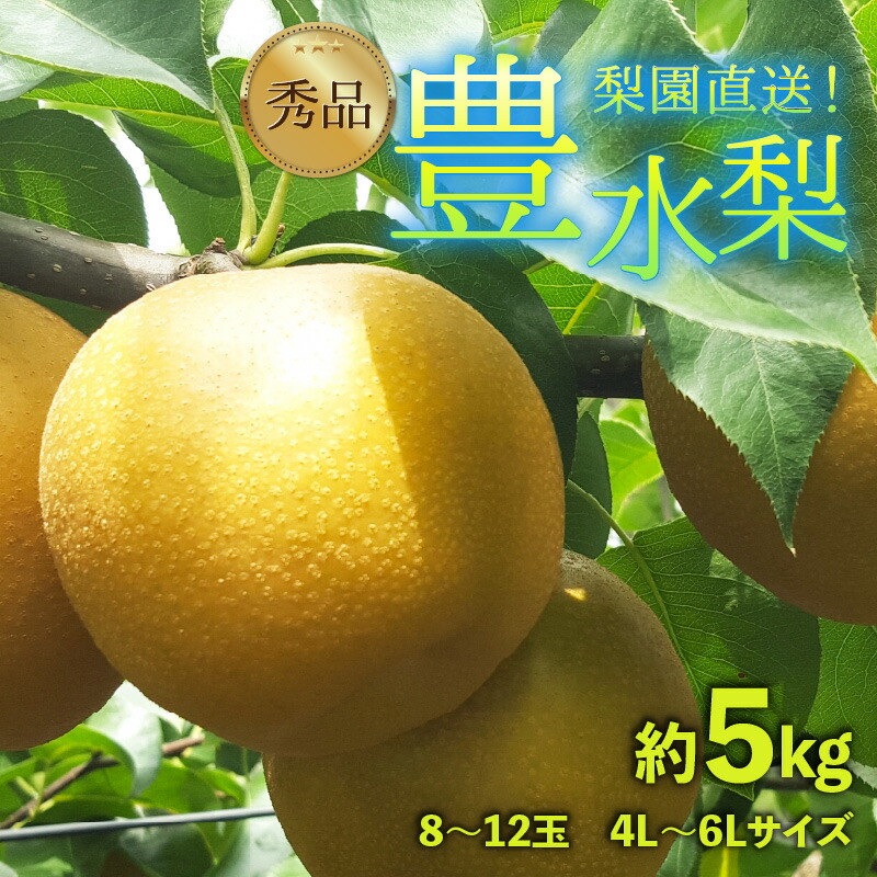 【ふるさと納税】【先行予約】上野梨園の豊水梨 8～12玉入 約5kg  4L～6L【秀品】《数量限定》梨園直送！ / 期間限定 果物 フルーツ 農家直送 シャキシャキ もぎたて 旬 お取り寄せ ※2025年9月上旬より順次発送