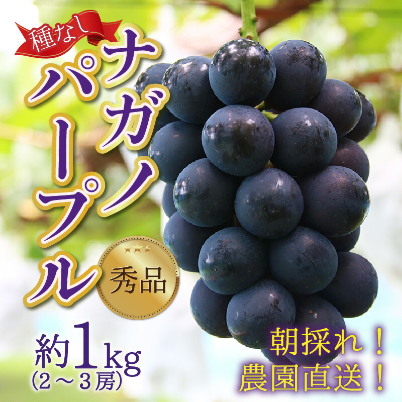 【ふるさと納税】【先行予約】種なし 朝採れ 秀品 上野梨園のナガノパープル 約1kg 農園直送 上野の葡萄  / ぶどう フルーツ 果物 くだもの 贈答 お土産 旬 皮ごと食べる ポリフェノール 美容 ぶどう狩り 巨峰  甘い 大粒 新鮮 濃厚※2025年8月下旬より順次発送