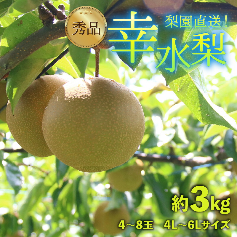 【ふるさと納税】【先行予約】上野梨園の幸水梨 約3kg  4L～6L【秀品】《数量限定》梨園直送！ / 期間限定 果物 フルーツ 農家直送 シャキシャキ もぎたて 旬 お取り寄せ ※2025年8月下旬より順次発送