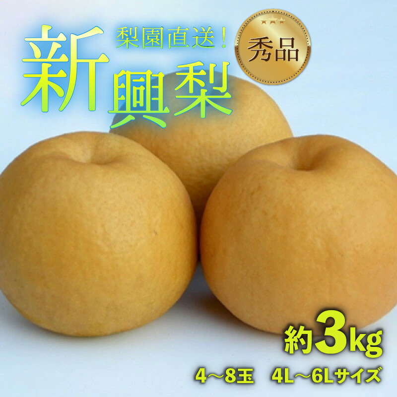 【ふるさと納税】【先行予約】上野梨園の新興梨 約3kg  4L～6L【秀品】《数量限定》梨園直送！ / 期間限定 果物 フルーツ 農家直送 シャキシャキ もぎたて 旬 お取り寄せ ※2025年10月上旬より順次発送