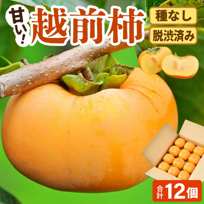 【ふるさと納税】【先行予約】【種なし】 甘い！越前柿12個入り 脱渋済み 本場柿原郷で収穫 / かき フルーツ 福井県 あわら市 甘い 大きい柿 秋 旬 平核無柿 刀根早生柿 甘柿 シャキシャキ たねなし 果物 食物繊維 ビタミンC ※2025年10月上旬以降順次発送予定