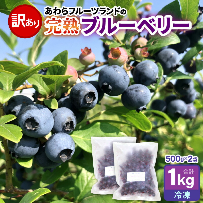 【ふるさと納税】【先行予約】【訳あり】【冷凍】あわらフルーツランドのブルーベリー たっぷり 1kg 便利な500g×2袋 【完熟】 / フルーツ 果物 くだもの 冷凍 1kg 小分け 完熟 ご当地 国産 おすすめ ※2025年6月下旬より順次発送
