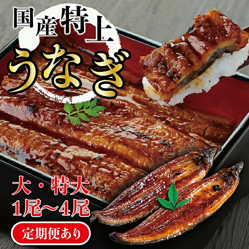 【ふるさと納税】国産 特上 うなぎ の かば焼き 約200g～250g （大サイズ～特大サイズ）1～4尾 数量選択可能 定期便 送料無料 福井県越前市 蒲焼き 鰻 ウナギ 土用の丑の日 お中元（18209）｜福井県越前市