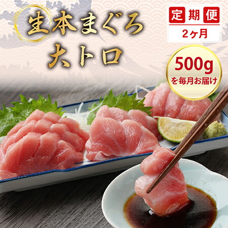 ふるさと納税 定期便2回 満足 生本まぐろ大トロ 500g 柵どり 2回お届け 毎月お届け 2ヶ月 送料 無料 福井県 越前市 武生 鮪 マグロ 未冷凍 生まぐろ 生マグロ 本鮪 大とろ コース 新鮮 お刺身 お造り おろし ブロック 魚 切り身 海鮮丼 漬け丼