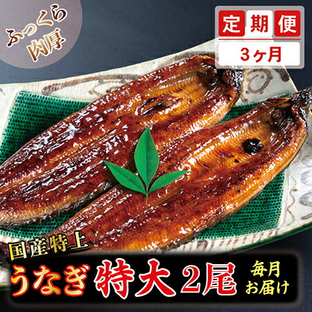 楽天市場】【ふるさと納税】国産特上うなぎのかば焼き 約250g×1尾 送料