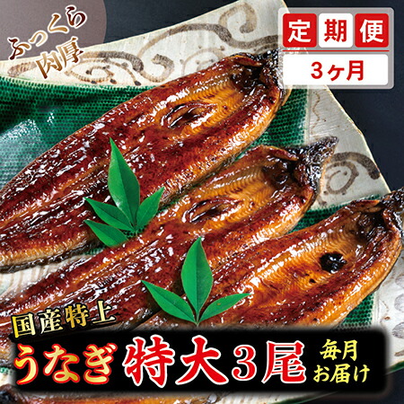 楽天市場】【ふるさと納税】国産特上うなぎのかば焼き 約250g×1尾 送料