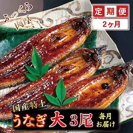 楽天市場】【ふるさと納税】国産特上うなぎのかば焼き 約200g×1尾 送料