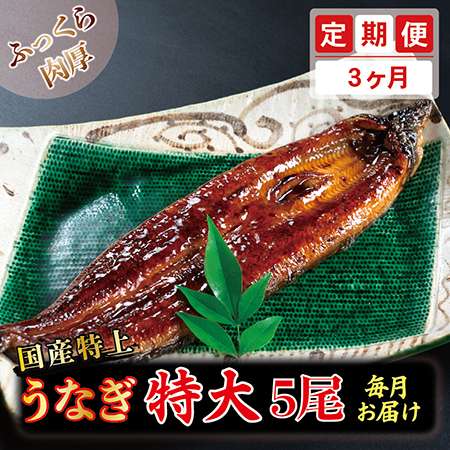 楽天市場】【ふるさと納税】国産特上うなぎのかば焼き 約250g×1尾 送料