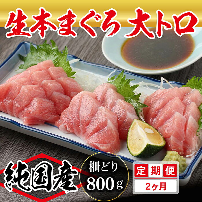 【ふるさと納税】【定期便2回】大満足!生本まぐろ大トロ 800g(柵どり) × 2回お届け (毎月お届け) 2ヶ月 / 送料 無料 福井県 越前市 武生 鮪 マグロ 未冷凍 生まぐろ 生マグロ 本鮪 大とろ コース 新鮮 お刺身 お造り おろし ブロック 魚 切り身 海鮮丼 漬け丼 (18209)