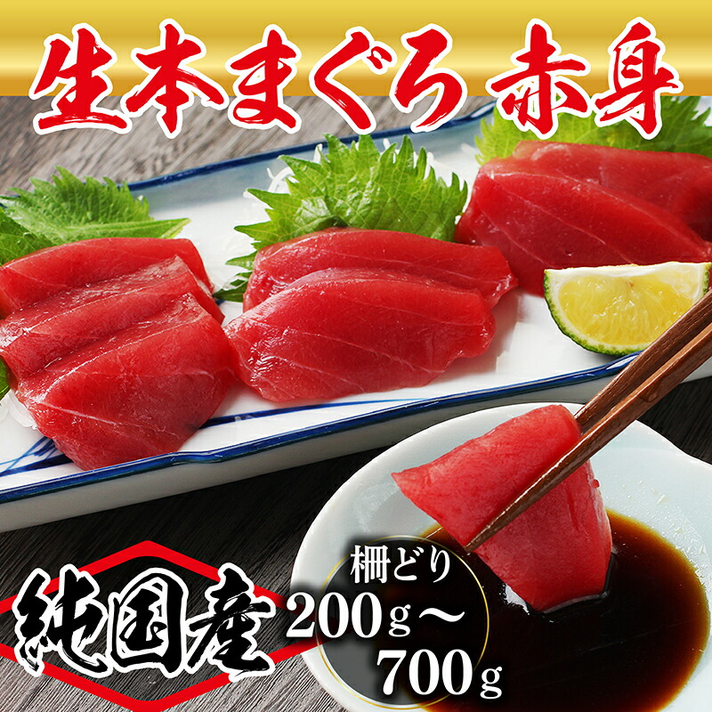 【ふるさと納税】【冷蔵・指定日着可】国産 生本マグロ 赤身 200g～750ｇ（柵どり/ 送料 無料 福井県 越前市 鮪 未冷凍 生まぐろ 生マグロ 本鮪 新鮮 お刺身 おさしみ お造り 切り身 切身 海鮮 海鮮丼 まぐろ丼 発送時期が選べる (18209）