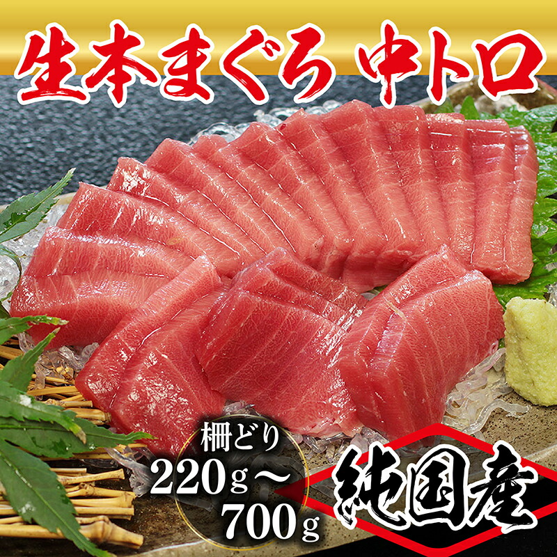 【ふるさと納税】【冷蔵・指定日着可】国産 生本マグロ 中トロ 220g～700ｇ(柵どり) / 送料 無料 福井県 越前市 鮪 未冷凍 生まぐろ 生マグロ 本鮪 中とろ 新鮮 お刺身 おさしみ お造り 切り身 切身 海鮮 海鮮丼 まぐろ丼 漬け 発送時期が選べる(18209)