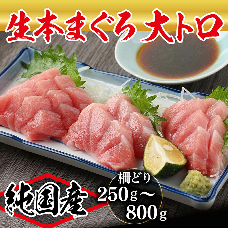 【ふるさと納税】【冷蔵・指定日着可】国産 生本マグロ 大トロ250g～800ｇ(柵どり)  /送料無料 福井県越前市 鮪 新鮮 お刺身 おさしみ お造り おつくり おろし ブロック 魚 切り身 切身 海鮮 丼 海鮮丼 まぐろ丼 漬け 漬け丼  発送時期が選べる(18209)