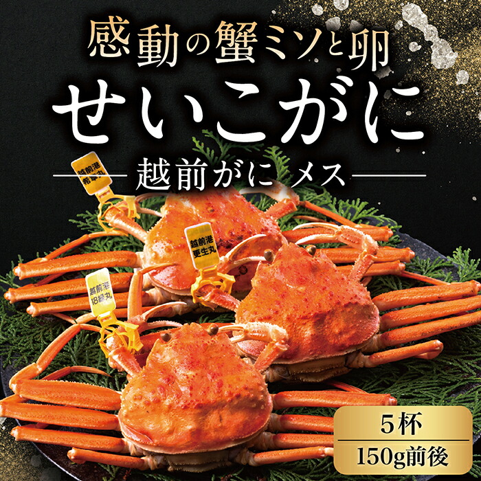 楽天市場】【ふるさと納税】越前がに (オス) ずわいがに 中サイズ 600