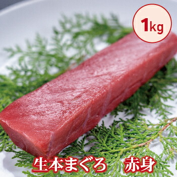 ふるさと納税 冷蔵でお届け 国産 生本まぐろ 赤身 1kg 柵どり 送料 無料 福井県 越前市 武生 鮪 マグロ 冷蔵 未冷凍 生まぐろ 生マグロ 本鮪 新鮮 お刺身 おさしみ お造り カット おろし ブロック 魚 切り身 切身 海鮮 丼